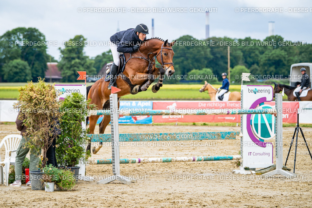 DSC04204 | Pferdegrafie