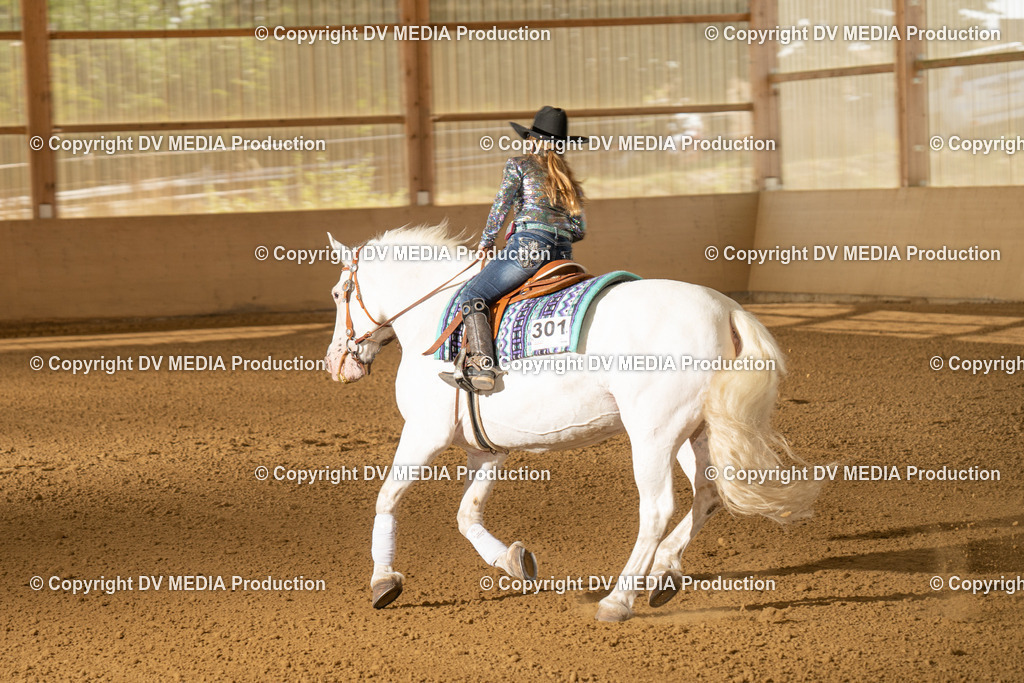 LAU01749 | dv-media-shop - Realisiert mit Pictrs.com