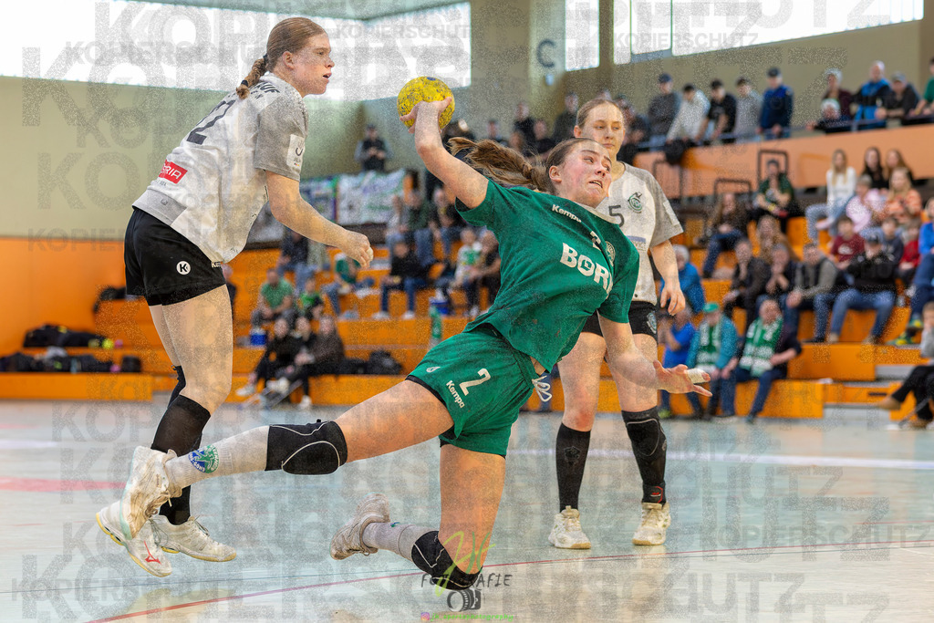 Jugendbundesliga wJA, Pokalrunde, HSG Kleenheim/Langgöns - Frisch Auf Göppingen | Jugendbundesliga wJA, Pokalrunde, HSG Kleenheim/Langgöns - Frisch Auf Göppingen am 28.02.2026 in Oberkleen (Weidig-Halle)Photo © 2026 - Jörg Heinrich - Realisiert mit Pictrs.com