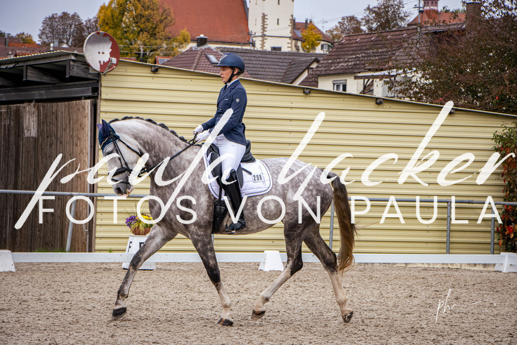 IMG_1152 | Erleben Sie dynamische Sport- und emotionale Tierfotografie in Süddeutschland mit Fotos von Paula. Spezialisiert auf Pferde- und Hundefotografie sowie Sportevents. Kontaktieren Sie mich für einzigartige und ausdrucksstarke Bilder Ihrer besonderen Momente. - Realisiert mit Pictrs.com
