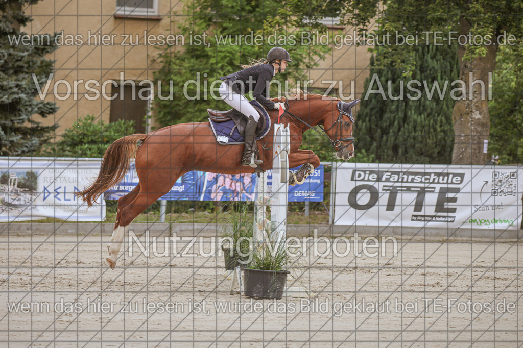 2025-09-22_09-38-46_MG_4079 | TE-Fotos