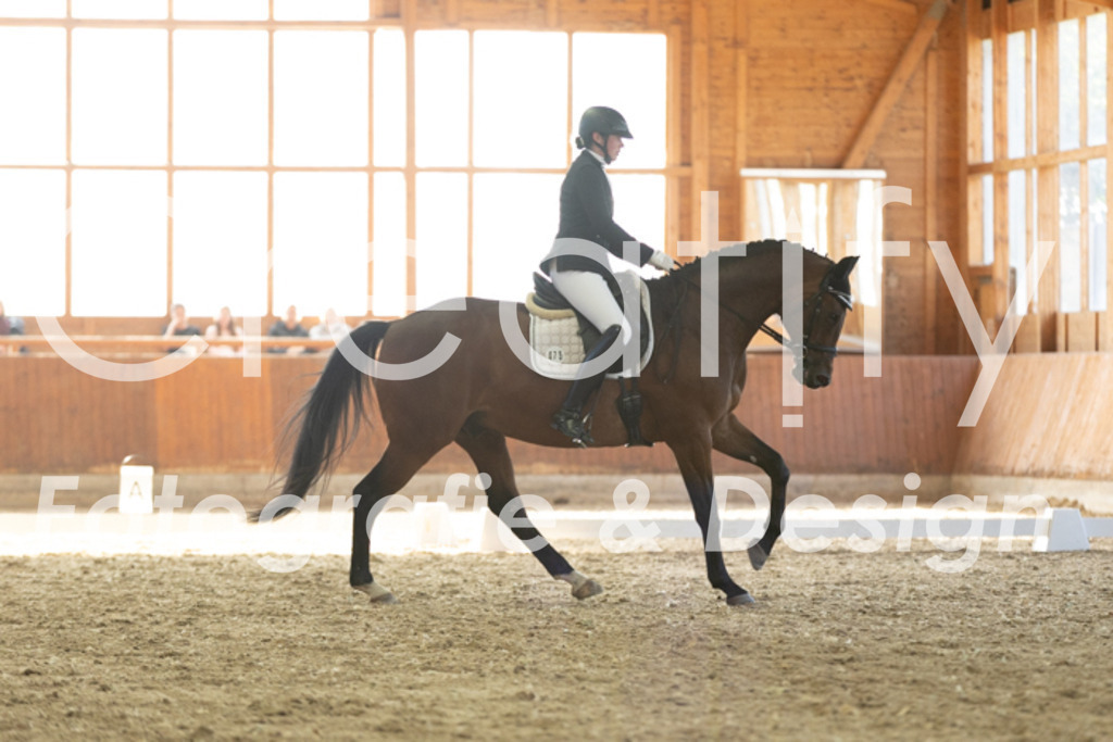 IMG_3666 | Creatify Fotografie