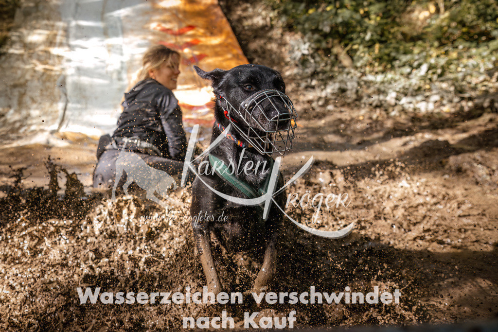 1351_ZZ92983 | kk-dogfotos