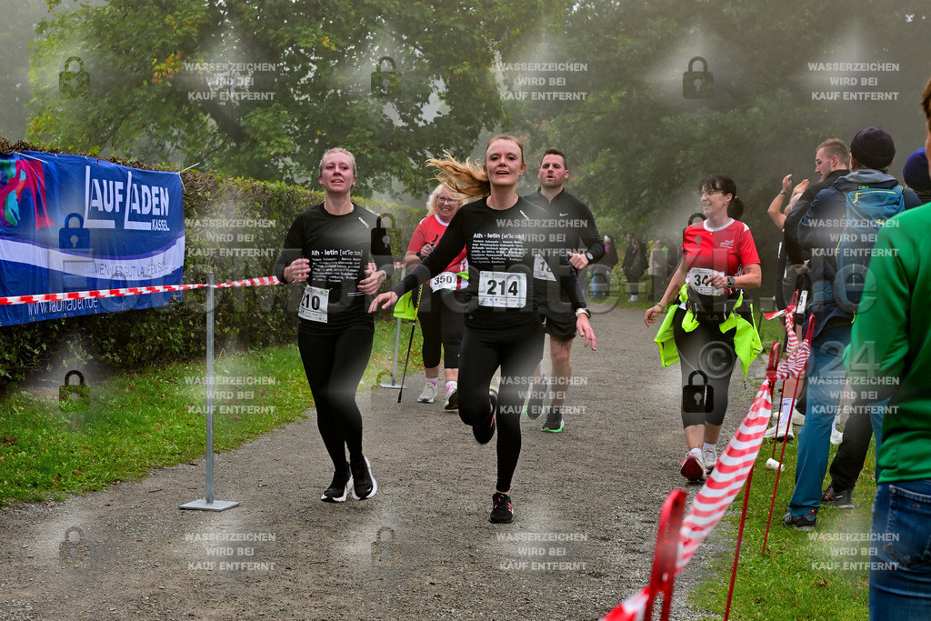 Z8N_1915 | la-psv - Realisiert mit Pictrs.com