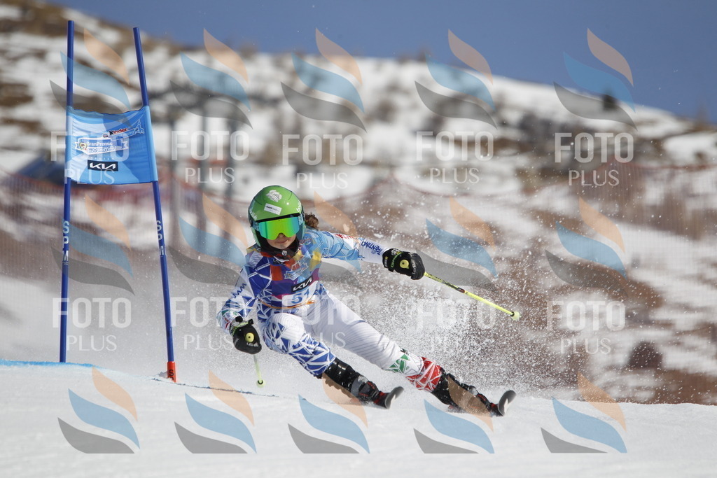 _U3G9415 | holidayphoto