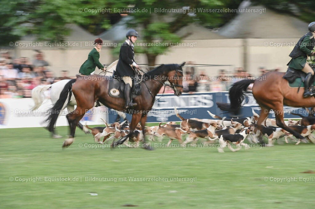 20230526_Pferdenacht_0656 | equistock