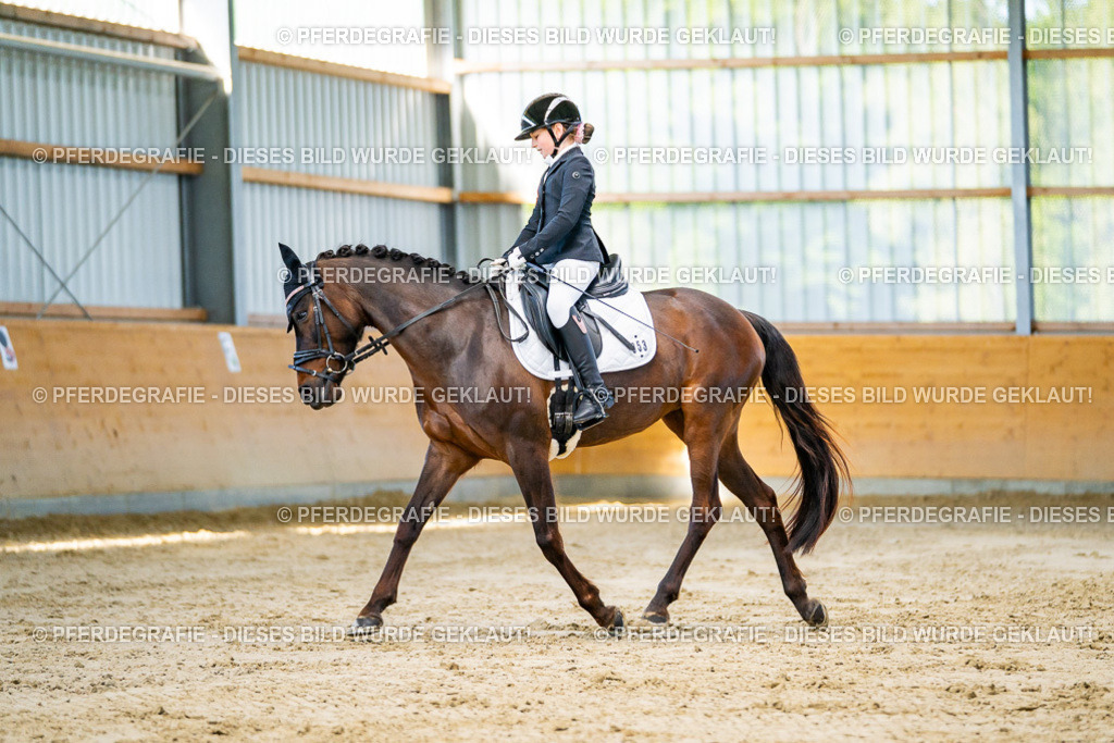 DSC06313 | Pferdegrafie