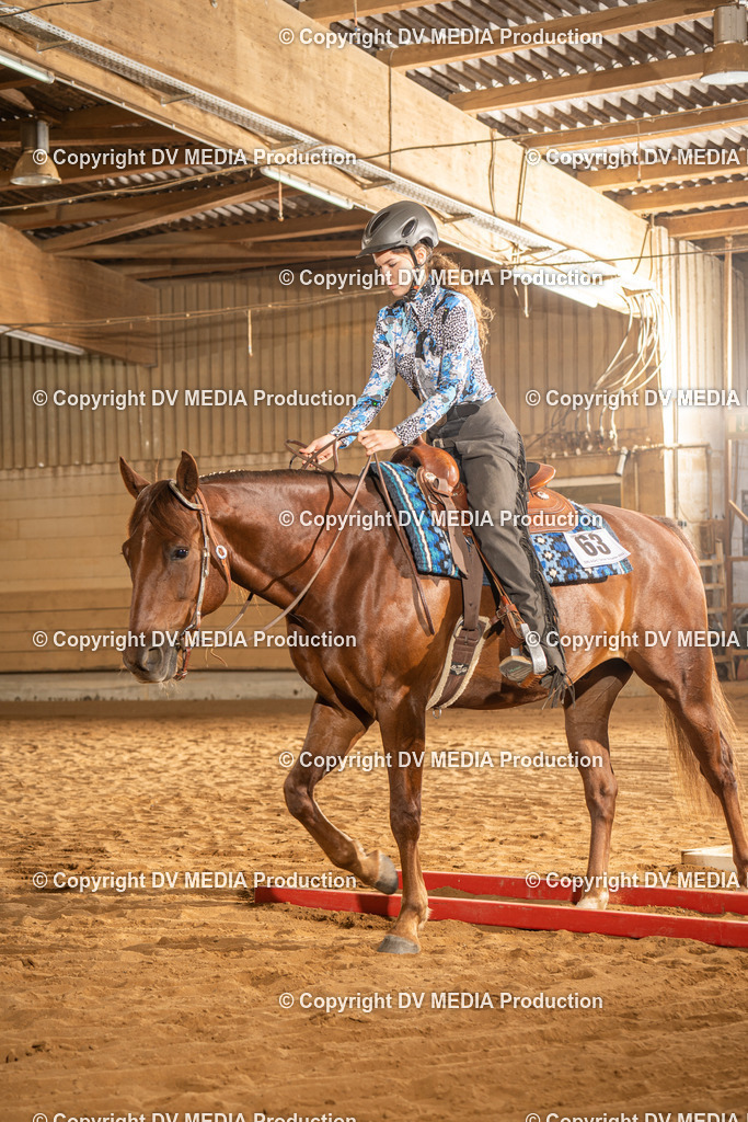 NID02577 | dv-media-shop - Realisiert mit Pictrs.com