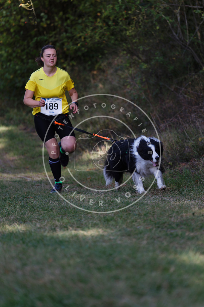 0L8A5699 | Hundefotografie, Tierfotograf, Pfotenfotografie, Fotoshooting Hund, Hunde Portrait, Hundesport, Hundeportraits, Heideshooting, Hunde, Sportfotograf, Hundefotograf, Turnierhundsport, THS,  - Realisiert mit Pictrs.com