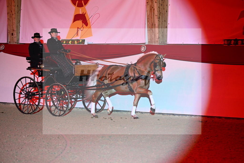 DSP_Avici_As_Karosser_2254548 | hf-fotografie - Realisiert mit Pictrs.com