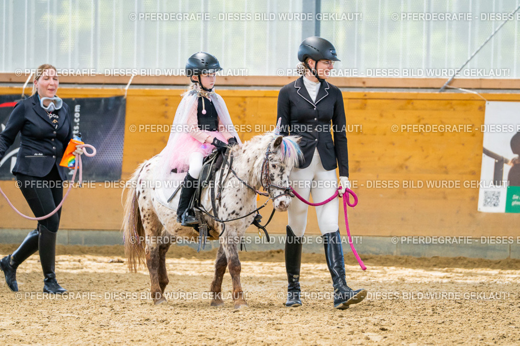 DSC00879 | Pferdegrafie