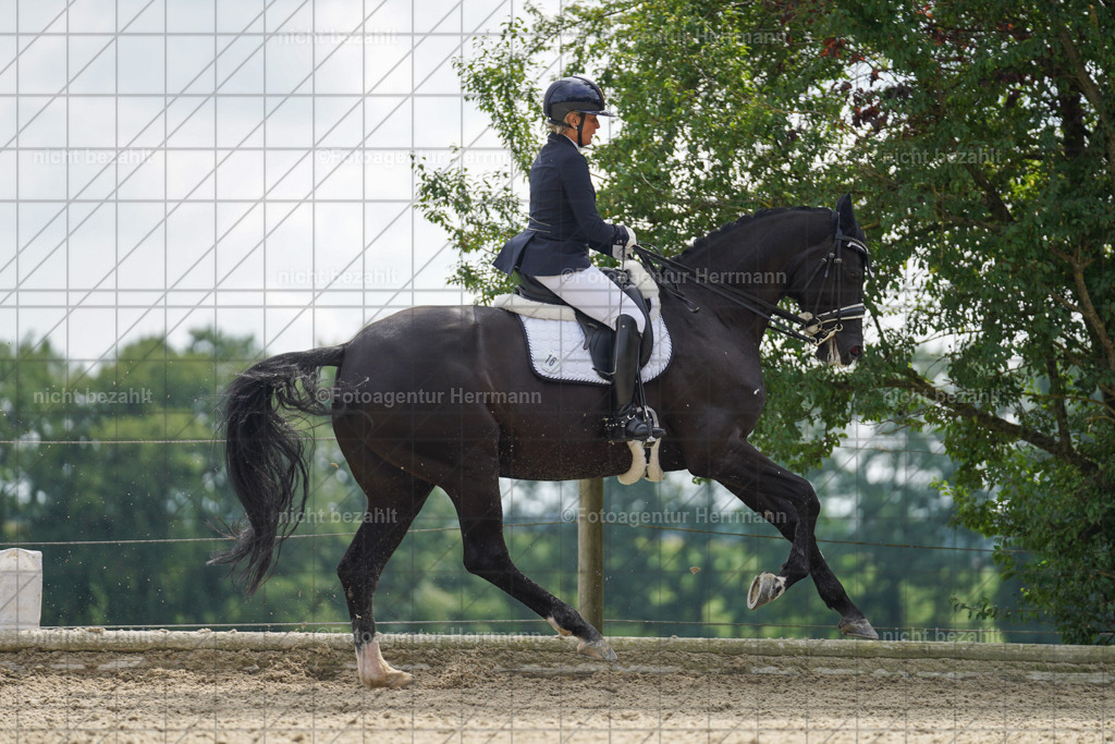20230826-FAH05903 | Forstinning, 2023, Dressurturnier, Turniersportbilder, Turnierfotografen Bayern, Fotoagentur Herrmann, Reitsportfotografie, Turnierbilder