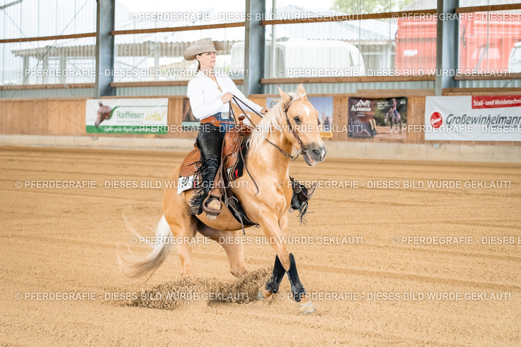 DSC02623 | Pferdegrafie