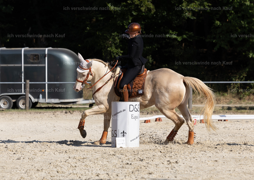 WS_SPEED_65_KerstinBernhardt-9 | working equitationturnier fotograf videograf stoibphotography marixx film working equitation deutschland reitsport turnierfotografie eventfotografie equestrian events