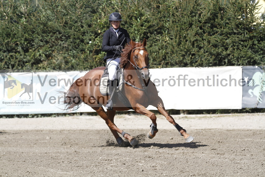 _MG_6390 | equestrian-live-com