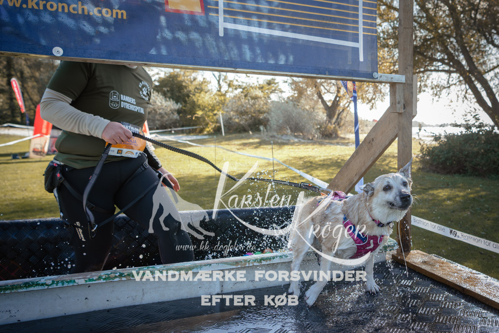 1212_ZZ95093 | kk-dogfotos