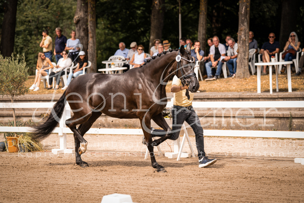 4.Fr00060 | Leoni Ertmer Photography - Realisiert mit Pictrs.com