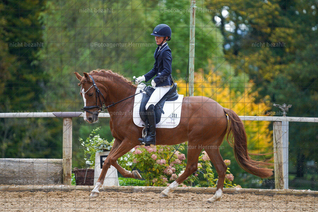 20221008-FAH01078 | Diessen am Ammersee, 2022, Dressur- und Springturnier, Reitsportbilder, Turnierfotografen Bayern, Pferdefotografen, Fotoagentur Herrmann, Turnierbilder