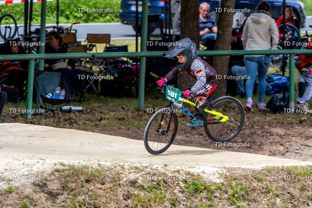 BayBMX2026-06046 | Fotogalerie von Thomas Dettweiler mit Eventbildern und lizenzfreien Fotos. Perfekt als Wandbild, für Büro, Website oder private Nutzung. - Realisiert mit Pictrs.com