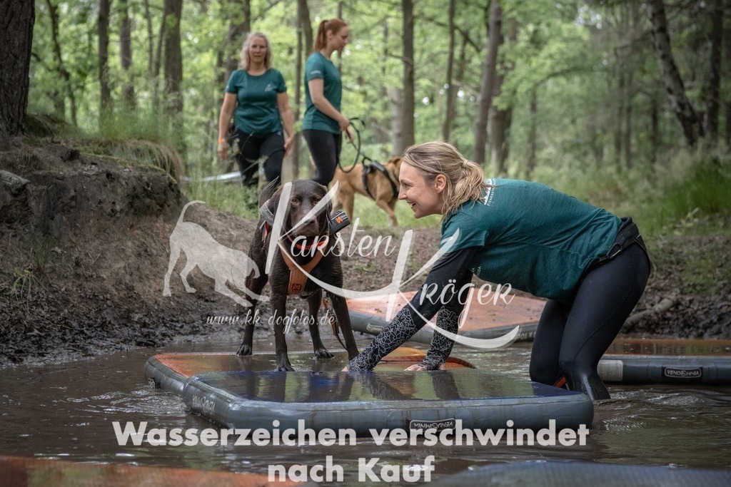 1229_ZZ99487T | kk-dogfotos