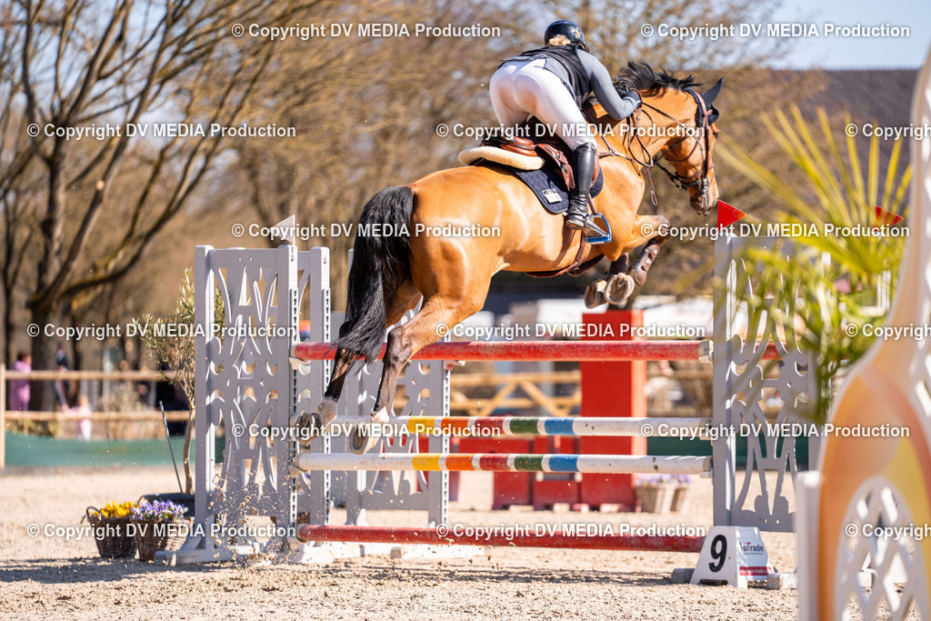 Kranichstein Tag 2-821 | dv-media-shop - Realisiert mit Pictrs.com