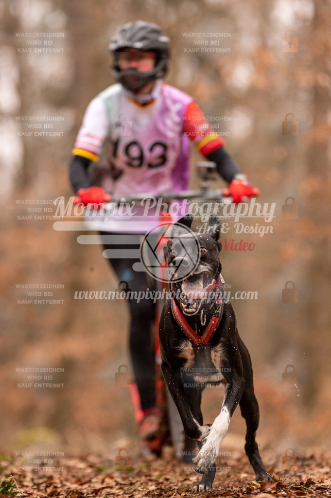 AKM_ST_2023_SAM_Scooter-79 | PayLife