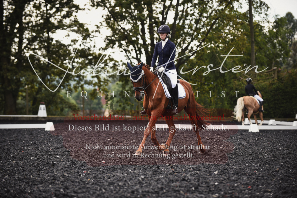 DSC_3800 | Pferde- und Turnierfotografie in Westsachsen. Pferdeportraits, Auftragszeichnungen und intuitive Kunst.