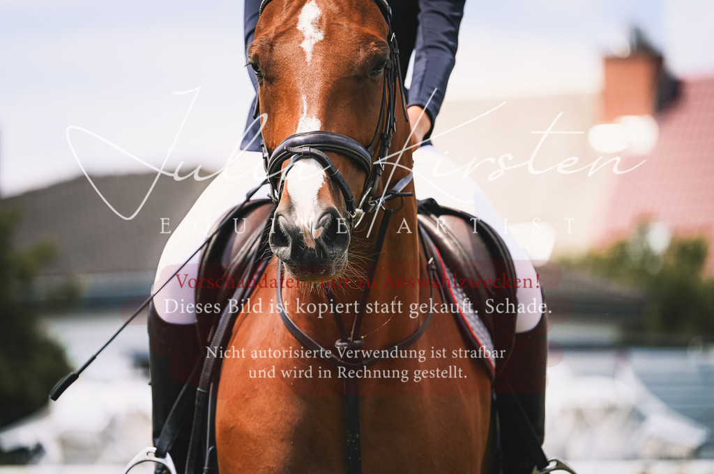 DSC_9273 | Pferde- und Turnierfotografie in Westsachsen. Pferdeportraits, Auftragszeichnungen und intuitive Kunst.