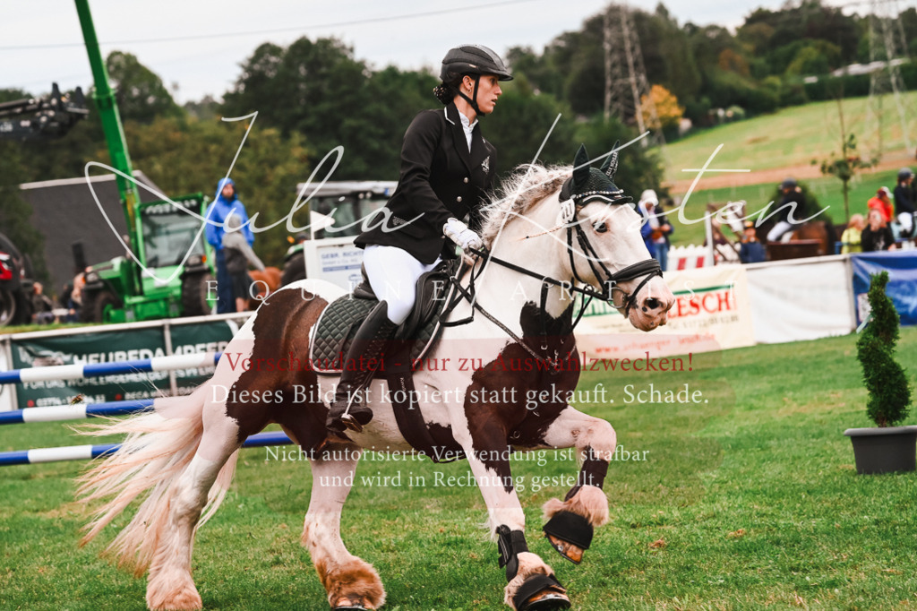 DSC_6243 | Pferde- und Turnierfotografie in Westsachsen. Pferdeportraits, Auftragszeichnungen und intuitive Kunst.