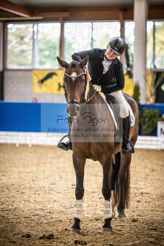 DOS_0025 | Entdecke hochwertige Reitturnierfotos von Foto Oger. Professionell, emotional und authentisch – jetzt Lieblingsmomente im Shop bestellen.Deutschlandweite Turnierfotografie. - Realisiert mit Pictrs.com