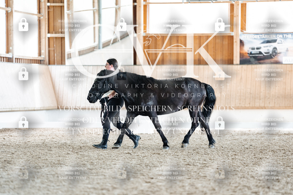 CK907960 | Turnierfotografie Pferdefotografie Trier Rheinland-Pfalz Pferdesport Reitsport Tierfotografie Sportfotografie Pferdevideo Pferdevideografie Equestrianvideography equestrianphotography  - Realisiert mit Pictrs.com