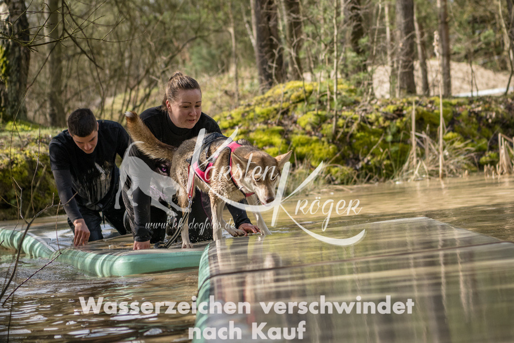 1004_ZZ92403 | kk-dogfotos