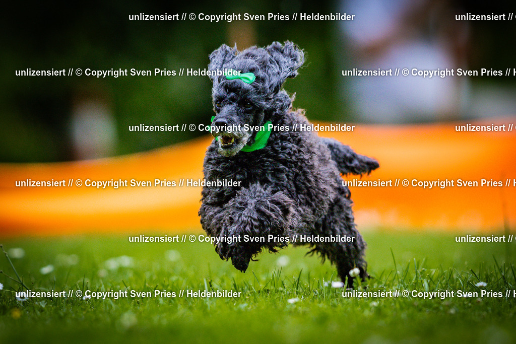 Sven Pries | 2025-05-29 - Pudelrennen KA-Durlach - Realisiert mit Pictrs.com