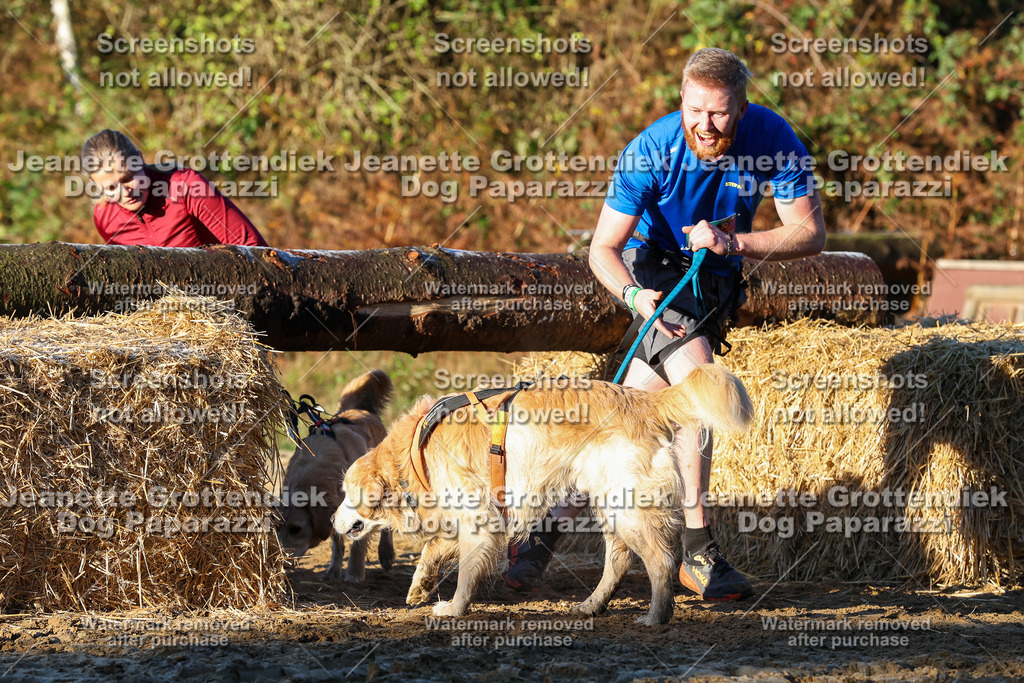 Dog Paparazzi - Strongdog 10-25-881 | Dog Paparazzi Jeanette Grottendiek Fotografie & Videografie - Realisiert mit Pictrs.com