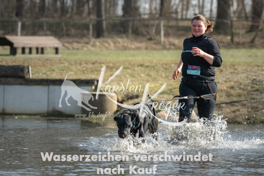 1305_ZZ94533 | kk-dogfotos
