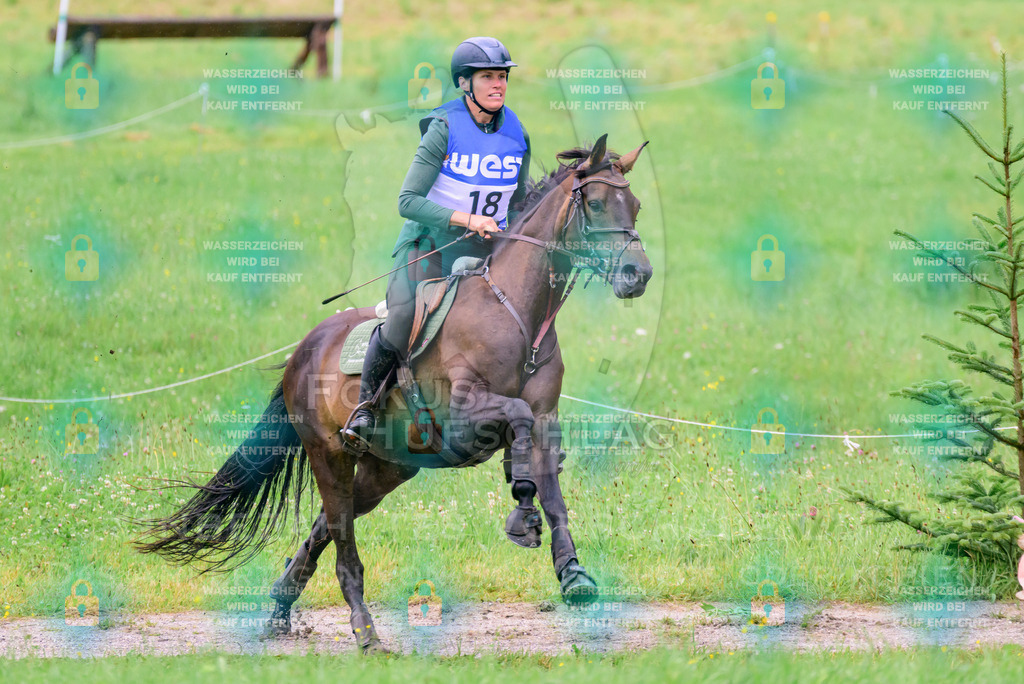 19072026-Schwaiganger-Prfg02-Gelände-0497 | Fokus Hufschlag Fotografie - Realisiert mit Pictrs.com