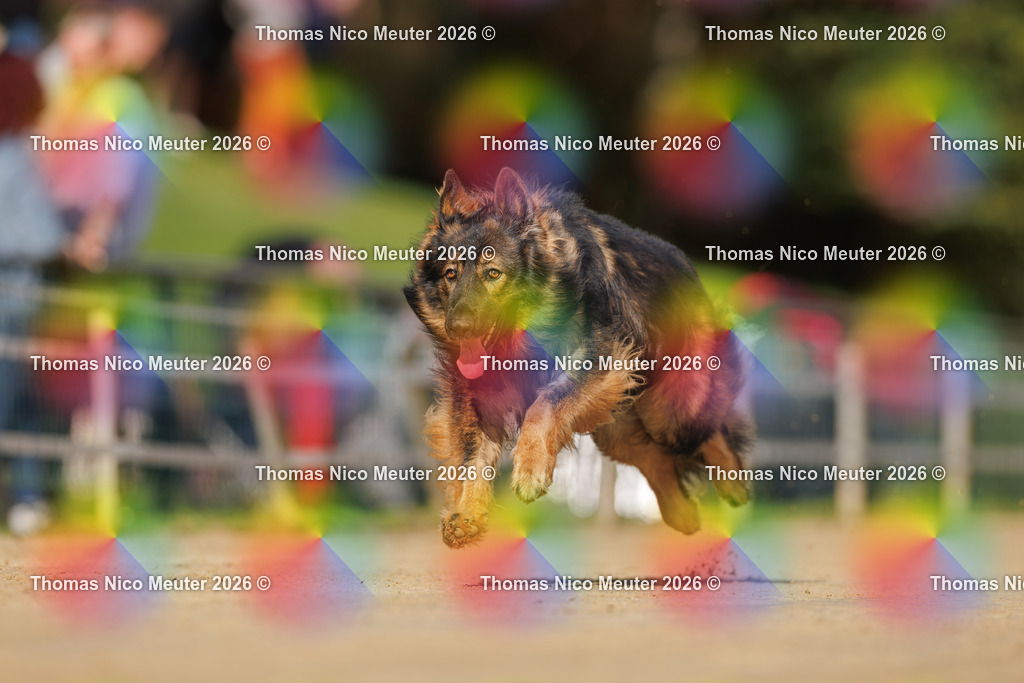 Thomas_Nico_Meuter(C)_03. Oktober 2026_223A3228 | Bild von Thomas Nico Meuter - Realisiert mit Pictrs.com