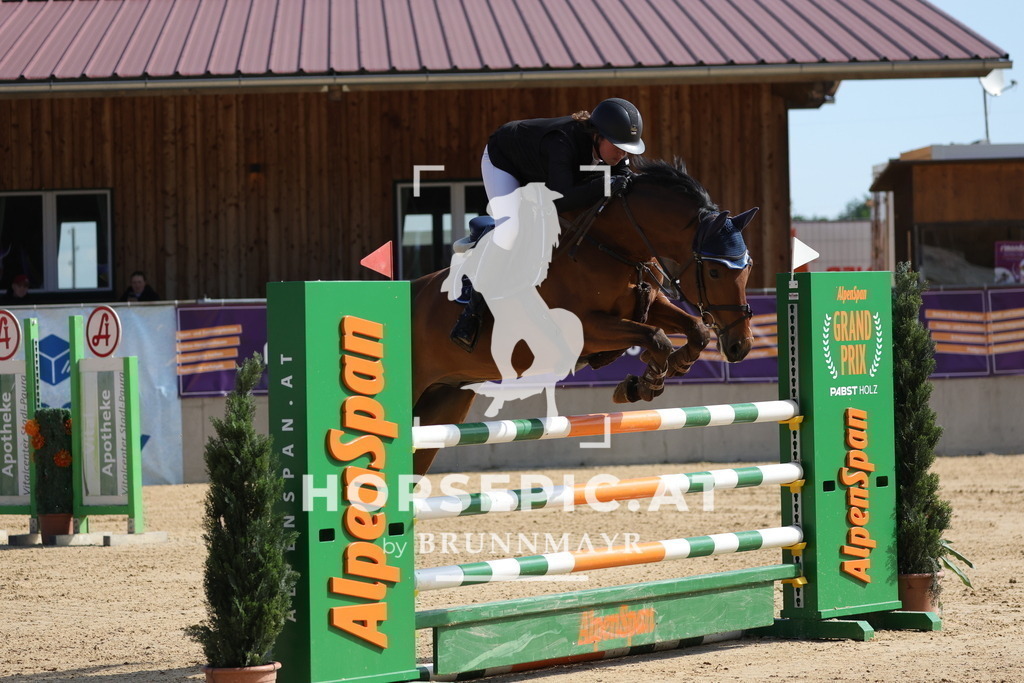 0P6A6581 | Willkommen bei Brunnmayr - Design & Fotografie – Ihrem Spezialisten für Reitturniere und Pferdeveranstaltungen in Oberösterreich, Salzburg und Bayern! Seit über 17 Jahren sind wir leidenschaftlich dabei.