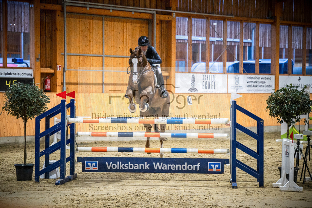 DOS_2668 | Entdecke hochwertige Reitturnierfotos von Foto Oger. Professionell, emotional und authentisch – jetzt Lieblingsmomente im Shop bestellen.Deutschlandweite Turnierfotografie. - Realisiert mit Pictrs.com