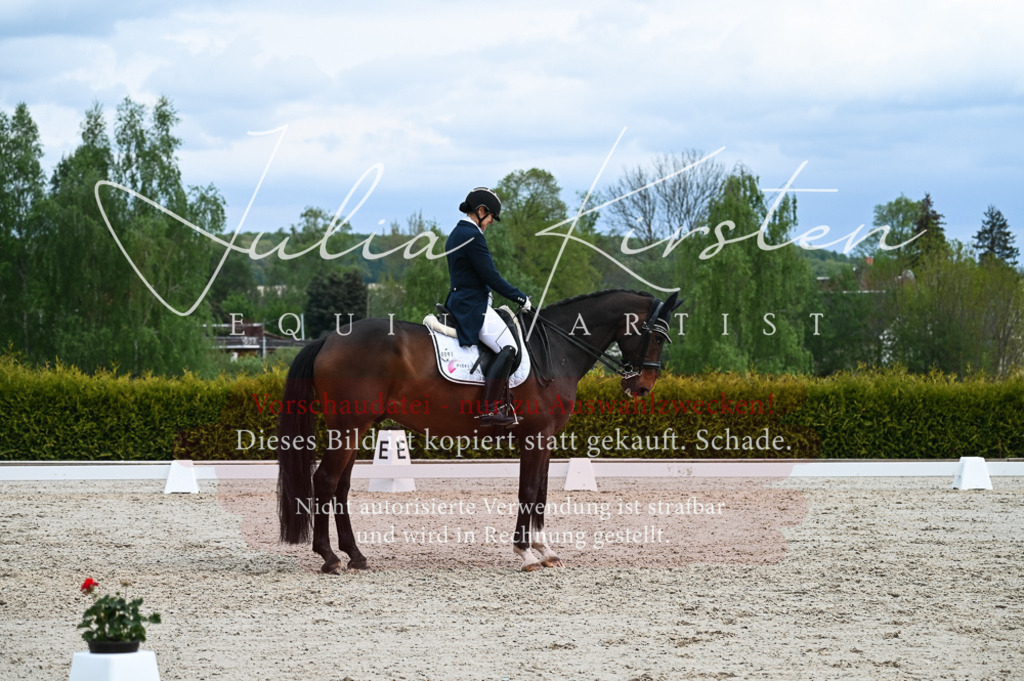 20230513_JK-Röhrsdorf-12-273 | Pferde- und Turnierfotografie in Westsachsen. Pferdeportraits, Auftragszeichnungen und intuitive Kunst.