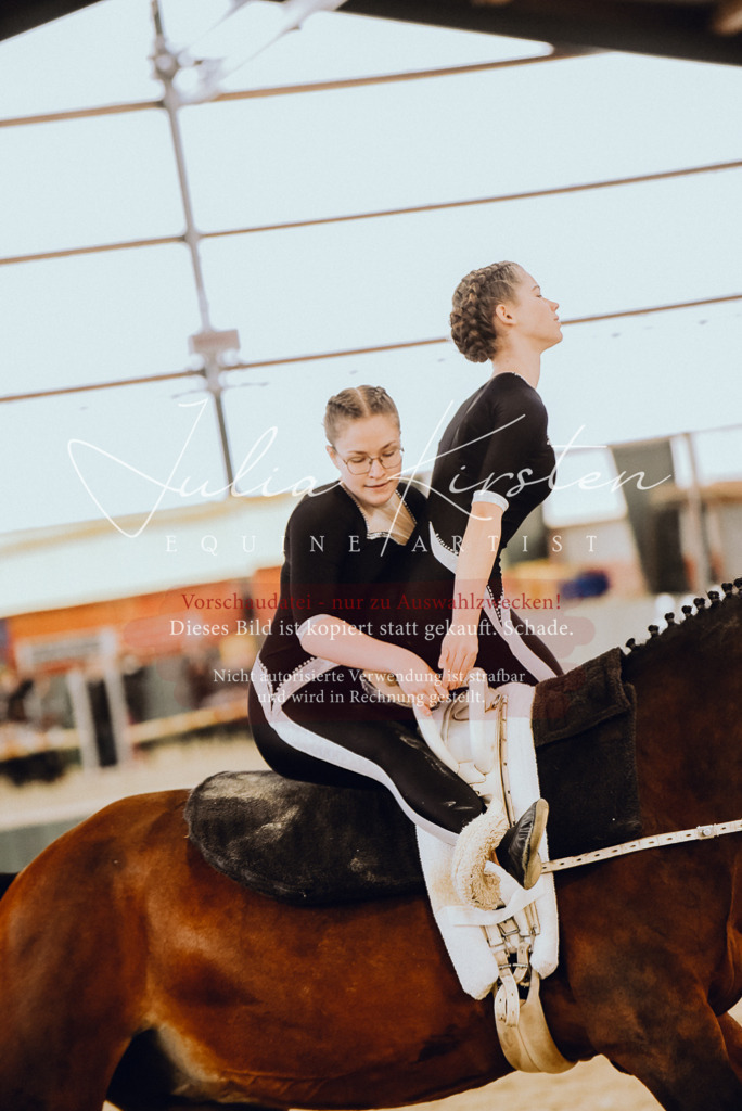 DSC_6904 | Pferde- und Turnierfotografie in Westsachsen. Pferdeportraits, Auftragszeichnungen und intuitive Kunst.