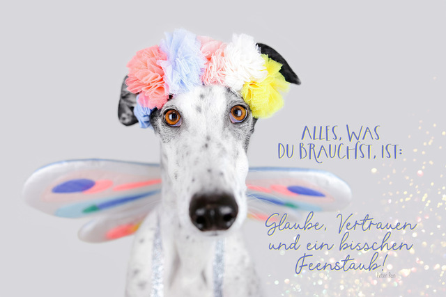 Patch, die Fee | "Alles, was du brauchst, ist: Glaube, Vertrauen und ein bisschen Feinstaub!"