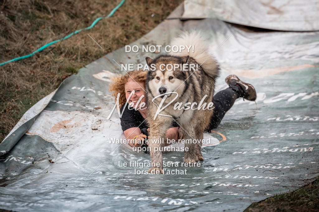nelerasche_1330-1400_75 | nelerasche