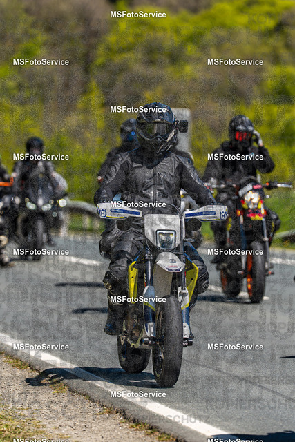 MSFotoServiceXXX393 | MSFotoService - Realisiert mit Pictrs.com