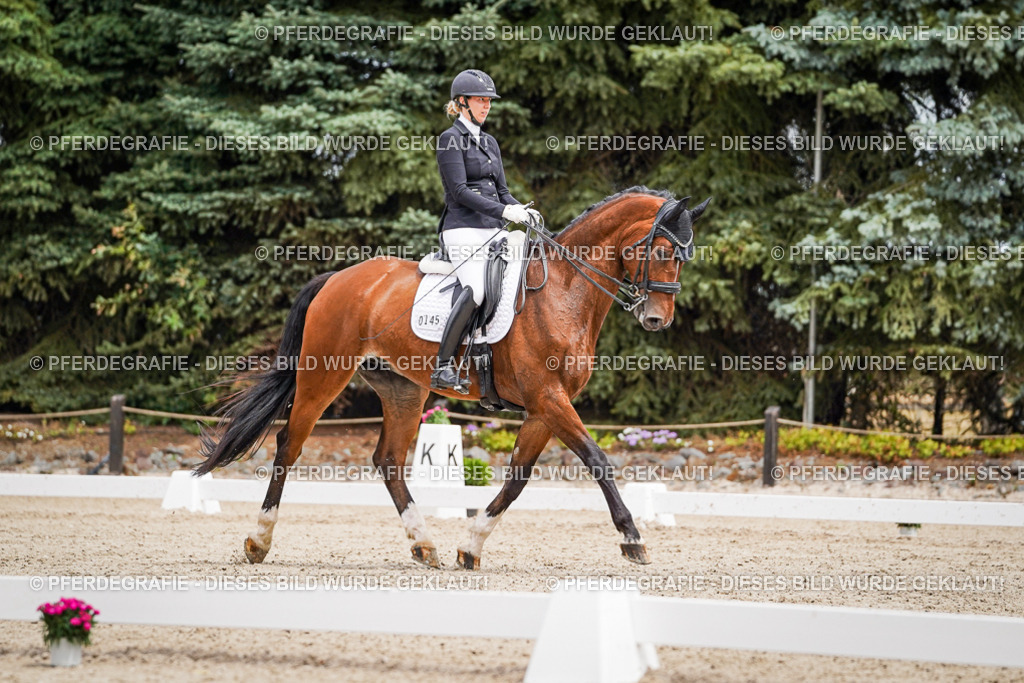 DSC04158 | Pferdegrafie