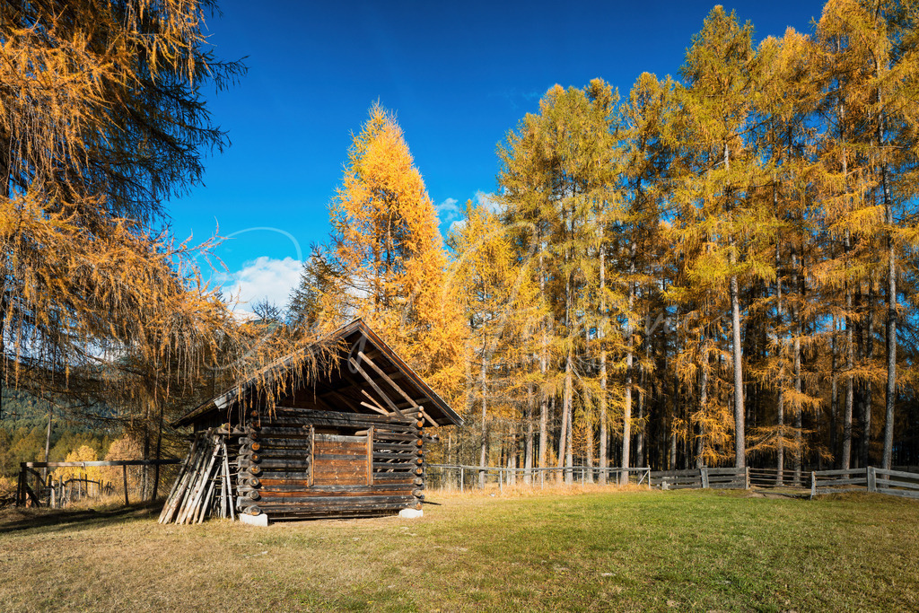 DSC05918 | Professioneller Fotograf - Bildbestellung online - Wandbilder vom Profi für ihr Zuhause, Büro, Praxis, Firma - große Auswahl an Materialien und Formaten, über 1400 regionale Motive