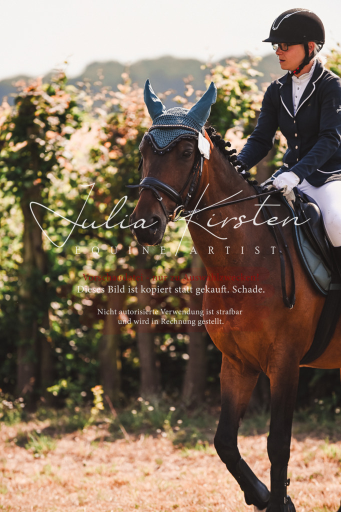 DSC_7335 | Pferde- und Turnierfotografie in Westsachsen. Pferdeportraits, Auftragszeichnungen und intuitive Kunst.