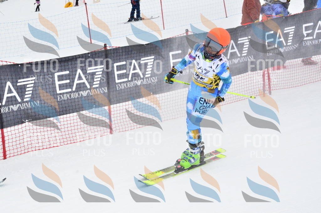 _ELE3986 | holidayphoto