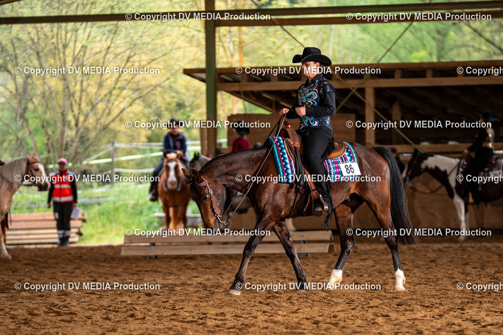 Balingen Tag 3-441 | dv-media-shop - Realisiert mit Pictrs.com