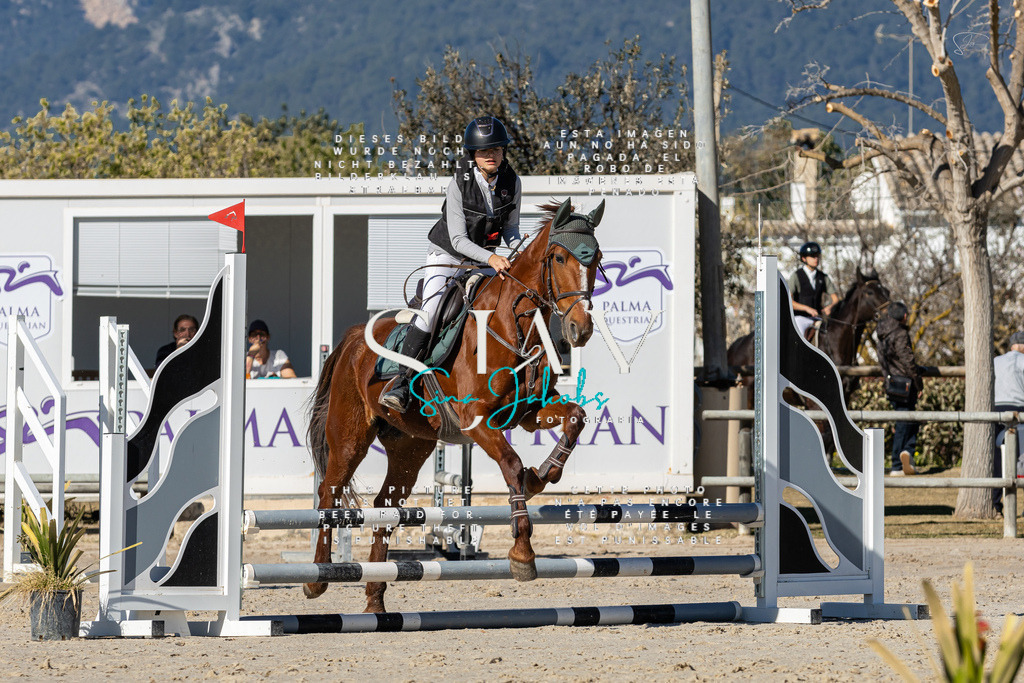 IMG_8420 | s-jay-photography - Realisiert mit Pictrs.com